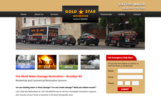 Gold Star Restoration